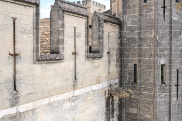 Gargoyles at the Papal Palace in Avignon, France.