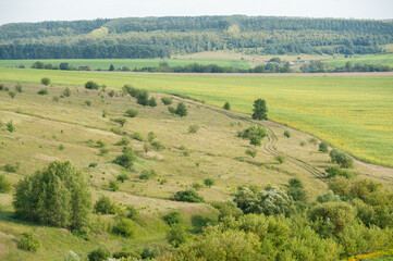 A hillside overgrown with bushes, green grass and copses on the horizon