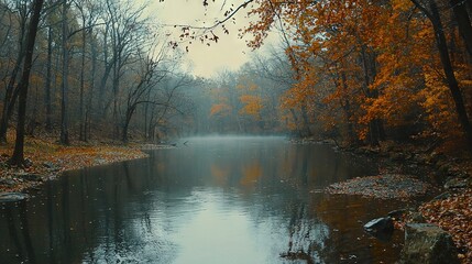 Obraz premium A body of water enclosed by trees with leaves strewn about