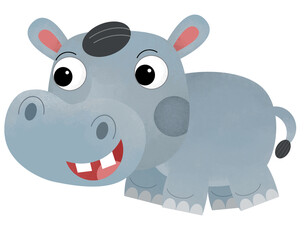 cartoon scene with hippo hippopotamus on white background safari illustration for kids