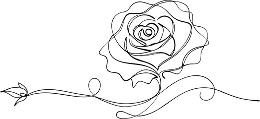 continuous single line drawing of  Rose, line art vector illustration