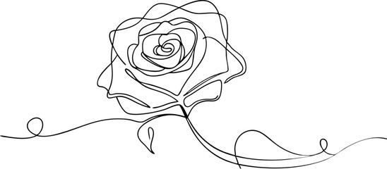 continuous single line drawing of  Rose, line art vector illustration