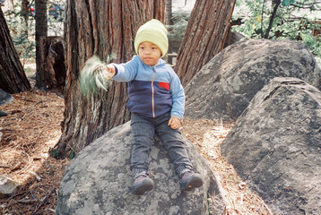 Toddler Playing with Leaves in Yosemite