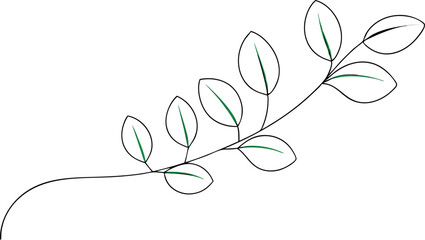 continuous single line drawing of  Fresh eucalyptus sprig , line art vector illustration