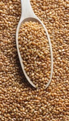 Brown millet grains in wooden spoon