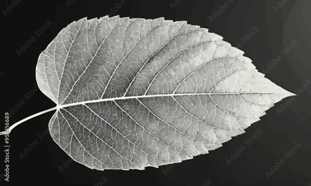 Poster a linear vector of a leaf.