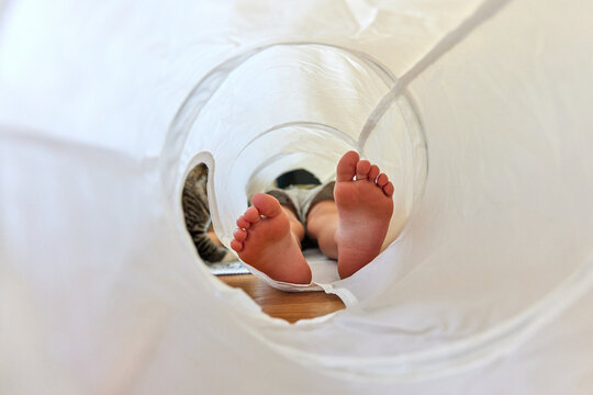 Kitten and little boy play with cat tunnel