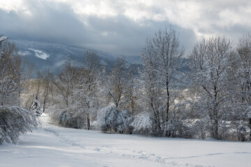 Landscape of South Park in city of Sofia, Bulgaria