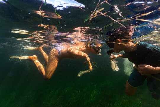 Siblings hunt for scallops in Florida