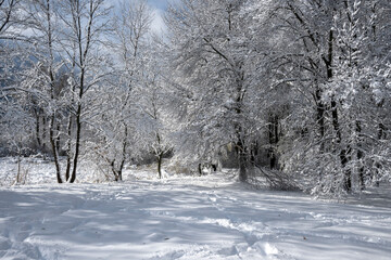 Landscape of South Park in city of Sofia, Bulgaria