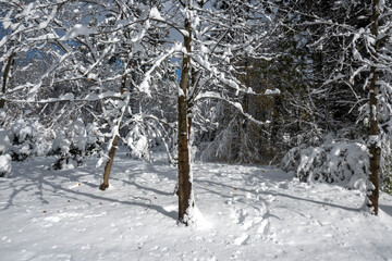 Landscape of South Park in city of Sofia, Bulgaria