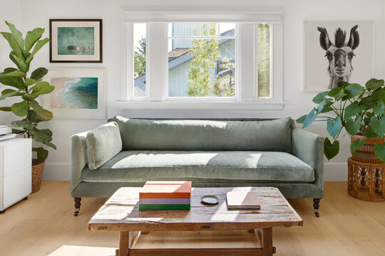 Modern design cottage living room with velvet sofa
