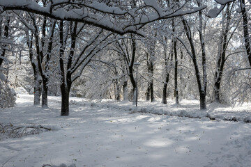 Landscape of South Park in city of Sofia, Bulgaria