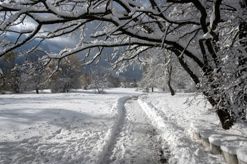 Landscape of South Park in city of Sofia, Bulgaria