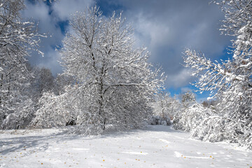 Landscape of South Park in city of Sofia, Bulgaria