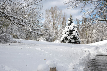 Landscape of South Park in city of Sofia, Bulgaria