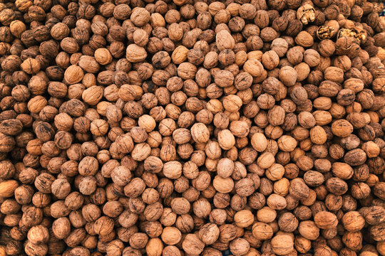 Pile of Walnuts in Shells