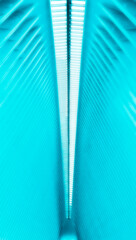 ceiling roof design in perspective.