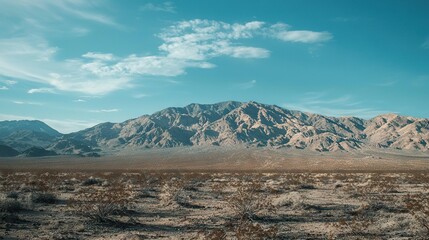 Fototapeta premium A mountain range stands in a desert's heart, surrounded by scant grass and bushes in the foreground The backdrop boasts a blue sky adorned