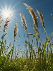 Obraz premium A cinematic view of tall grass swaying in a gentle breeze, in a vast open field under a pristine blue sky. The scene captures the movement of each blade of grass, with the breeze creating a ripple