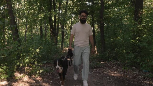 A man in glasses and a beard enjoys a sunny morning walk with his Bernese Mountain Dog on a trail in the woods.