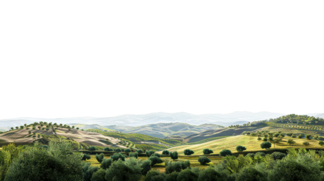 Beautiful rolling hills of Tuscany under a clear sky at sunrise isolated on transparent background