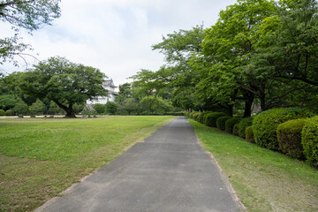 A background texture of a concrete footpath on a lush green lawn in a large open park, lined with trees providing shade, with a traditional and historic Japanese castle in the distance