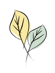 leaves eco logo. natural natural plant element. twigs branches