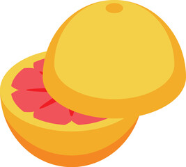 This is a half grapefruit showing the pulp isometric illustration