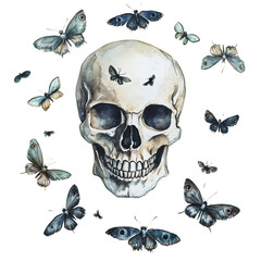 A skull surrounded by fluttering moths