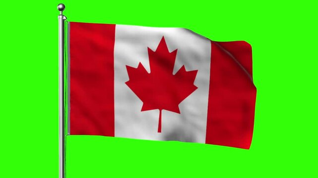 The national flag of Canada displayed against a green screen backdrop
