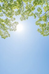 Fototapeta premium Renewable Energy Management Solutions for Sustainable Practices in Both Residential and Commercial Sectors