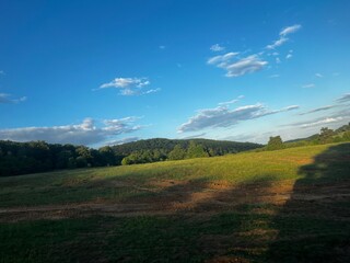 landscape with grass