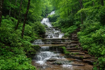 Tuinposter Watervallen Cascading Waterfall in Lush Green Forest  © Narongsag
