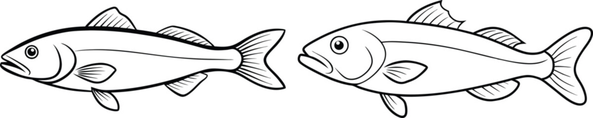 illustration of a cod fish on white 