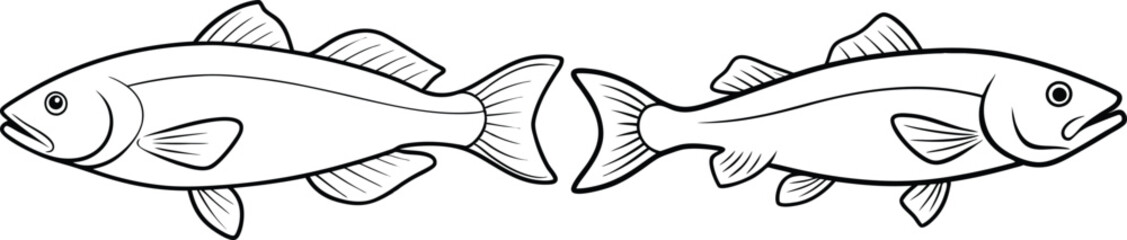 illustration of a cod fish on white 