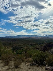 Arizona Desert 