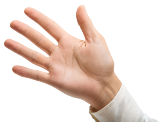 Open Hand Palm Up.