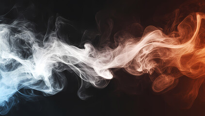 Obraz premium Ethereal white smoke swirling on a black background texture