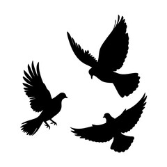 silhouette of dove