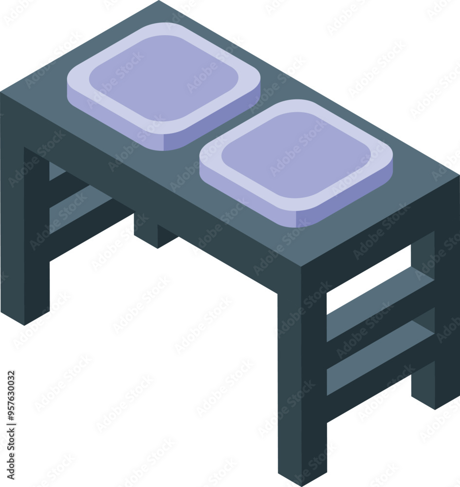 Poster this is a double sink washbasin for bathroom isometric icon