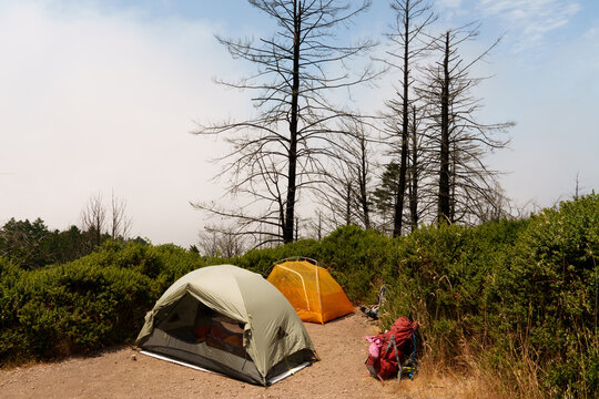 Two tents set up in the fog and sun