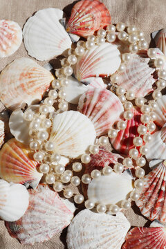 Pearl necklace on seashells arranged