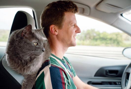 Man Driving with Cat 