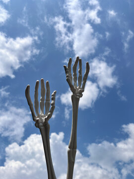 Two Skeleton Hands Reaching Up Towards The Sky On A Sunny Day