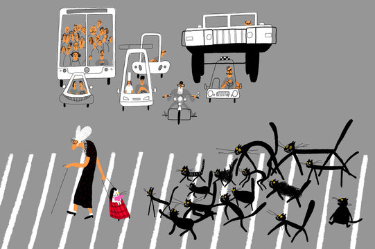 Crosswalk and a grandmother with a cute cat 