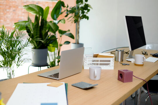 Modern Office Workspace Setup with Plants