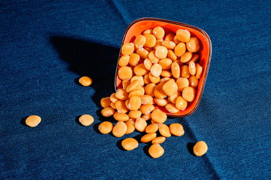 some spanish altramuces, coooked lupinus albus beans