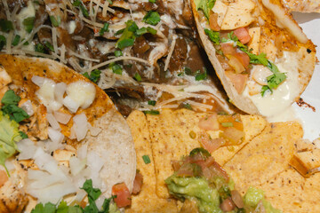 Tacos close up