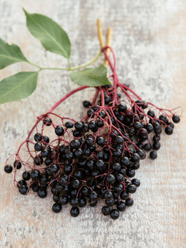 Elderberries